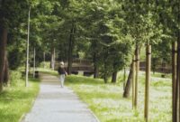 Seorang pekerja perkotaan menikmati udara segar sembari berjalan kaki santai di taman kota untuk menjaga kebugaran tubuh di sela kesibukan harian.