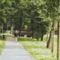 Seorang pekerja perkotaan menikmati udara segar sembari berjalan kaki santai di taman kota untuk menjaga kebugaran tubuh di sela kesibukan harian.