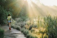 Sinar matahari pagi dan aktivitas fisik ringan seperti berjalan kaki secara rutin menjadi kunci penting dalam menjaga ritme sirkadian serta kebugaran metabolisme tubuh.
