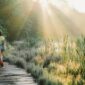 Sinar matahari pagi dan aktivitas fisik ringan seperti berjalan kaki secara rutin menjadi kunci penting dalam menjaga ritme sirkadian serta kebugaran metabolisme tubuh.