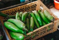 Aneka bahan pangan segar dan sayuran hijau lokal yang kaya akan vitamin serta mineral alami dipajang di pasar tradisional. Pemenuhan gizi dari makanan utuh terbukti memberikan penyerapan nutrisi yang jauh lebih seimbang bagi kesehatan tubuh harian.