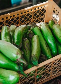 Menakar Ulang Tren Suplemen Sintetis dan Keajaiban Nutrisi Alami dari Piring Lokal Indonesia