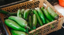 Aneka bahan pangan segar dan sayuran hijau lokal yang kaya akan vitamin serta mineral alami dipajang di pasar tradisional. Pemenuhan gizi dari makanan utuh terbukti memberikan penyerapan nutrisi yang jauh lebih seimbang bagi kesehatan tubuh harian.