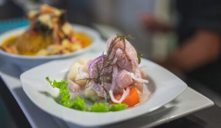 Menyeimbangkan Piring Makan Harian demi Memenuhi Kebutuhan Mikronutrisi Tubuh Tanpa Ketergantungan Suplemen