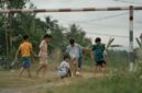 Interaksi langsung dengan alam terbuka dan aktivitas fisik di taman membantu memperkuat variasi mikrobioma usus serta ketahanan fisik anak secara alami.