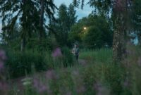 Seorang warga memanfaatkan kesegaran udara pagi di taman kota untuk berlari kecil guna menjaga stamina dan kesehatan tubuh sebelum memulai aktivitas pekerjaan.