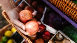Deretan bahan pangan segar utuh seperti sayuran hijau dan buah-buahan lokal menjadi fondasi utama dalam menerapkan pola makan alami yang menyehatkan tubuh.