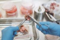 Pemeriksaan sampel mikrobioma usus kini menjadi standar baru dalam kedokteran presisi untuk merancang pola makan dan gaya hidup yang disesuaikan dengan kebutuhan biologis setiap individu.