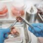Pemeriksaan sampel mikrobioma usus kini menjadi standar baru dalam kedokteran presisi untuk merancang pola makan dan gaya hidup yang disesuaikan dengan kebutuhan biologis setiap individu.