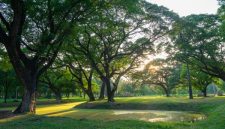 Berjalan kaki di area terbuka hijau pada pagi hari menjadi pilihan praktis masyarakat perkotaan untuk menjaga kebugaran fisik dan menyegarkan pikiran di tengah rutinitas harian.